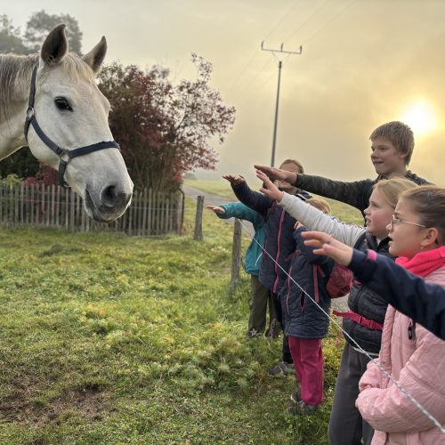 72 hodin na farmě